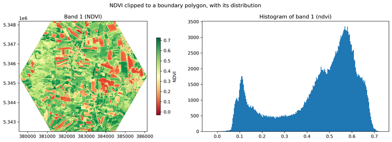 NDVI clipped to a hexagonal boundary beside its histogram