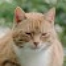 Avatar for Eric Leblond from gravatar.com