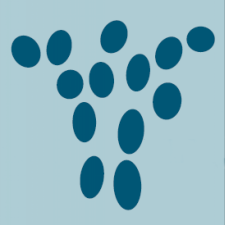 Avatar for Mohcine from gravatar.com