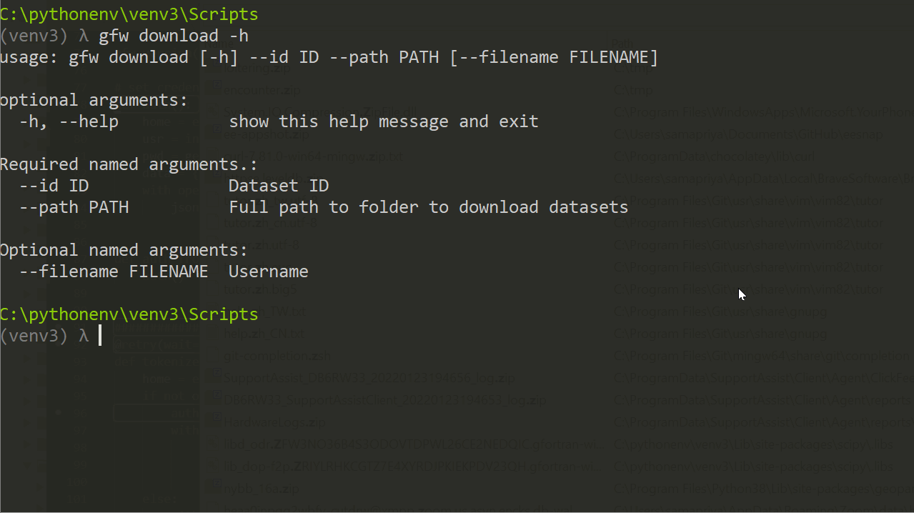 gfw_download_filename