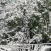 Avatar for wyf9 from gravatar.com