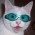 Avatar for mtearle from gravatar.com