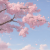 Avatar for Maple_127667 from gravatar.com