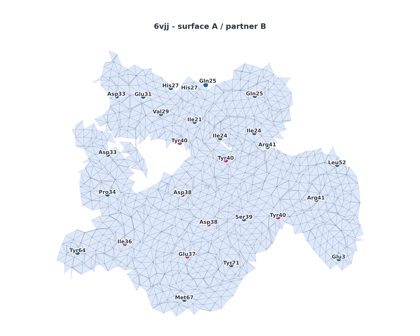 Labeled contacting residues on the triangular atlas mesh