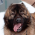 Avatar for DogsTailFarmer from gravatar.com