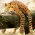 Avatar for katajakasa from gravatar.com