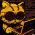 Avatar for Garfield1002 from gravatar.com