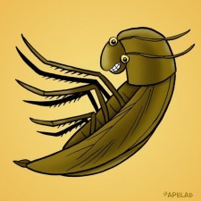 Avatar for urbandev from gravatar.com