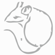 Avatar for Soli from gravatar.com