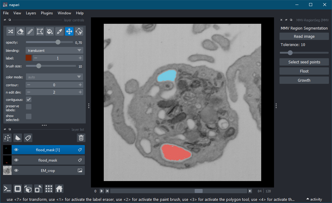 MMV-RegionSeg Plugin Screenshot
