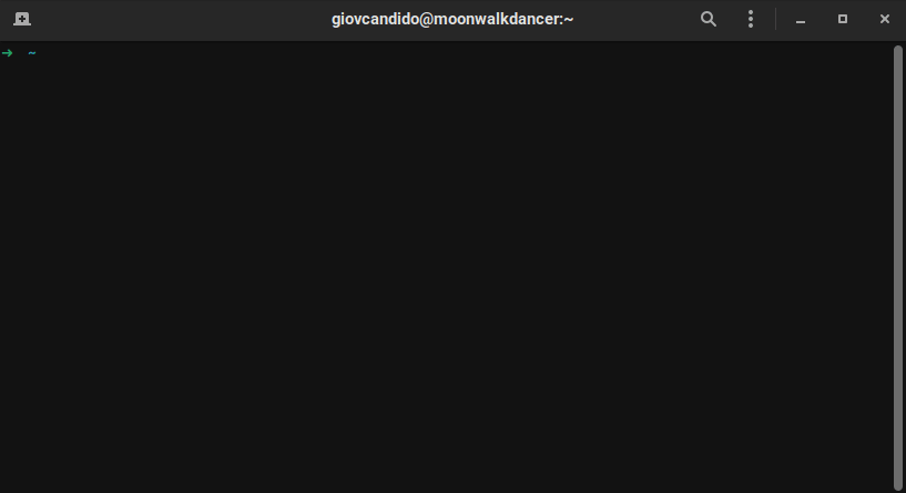 Sedona downloading a video