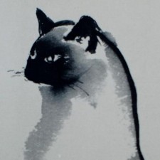 Avatar for Victor Jimenez from gravatar.com