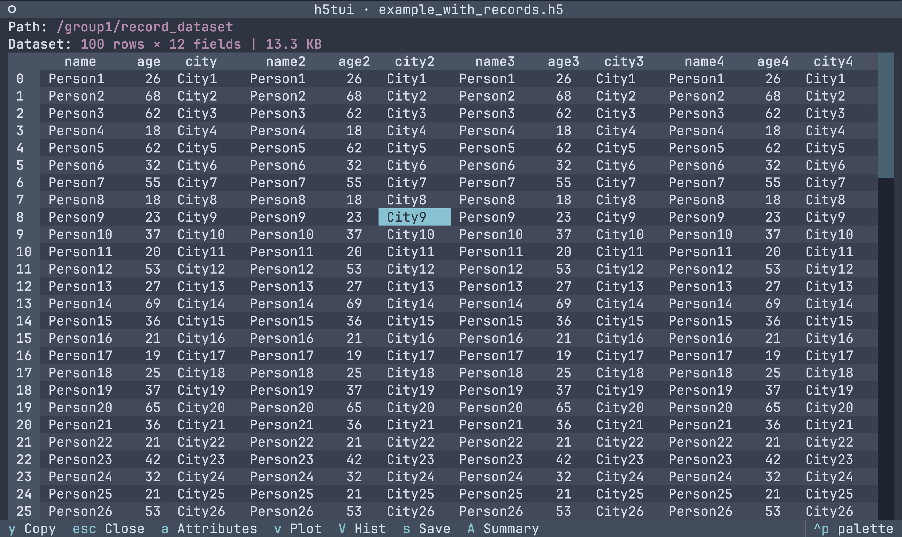 dataset table preview