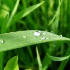 Avatar for stevenlian from gravatar.com