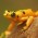 Avatar for cmlburnett from gravatar.com