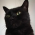 Avatar for devcoons from gravatar.com