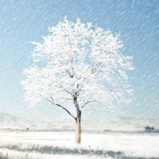 Avatar for Cuong Tran from gravatar.com