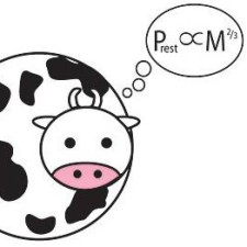 Avatar for kimgerly from gravatar.com