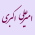Avatar for amiraliakbari from gravatar.com