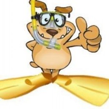 Avatar for Dave Gilbert from gravatar.com