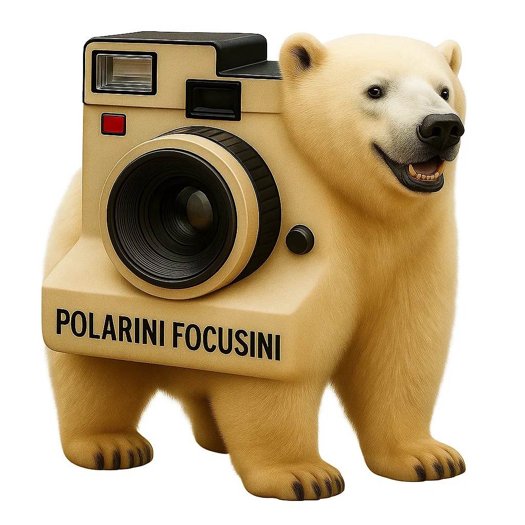 Polarini Focusini project logo