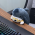 Avatar for josephlim_94 from gravatar.com