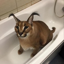 Avatar for 5elenay from gravatar.com