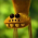 Avatar for mbway from gravatar.com