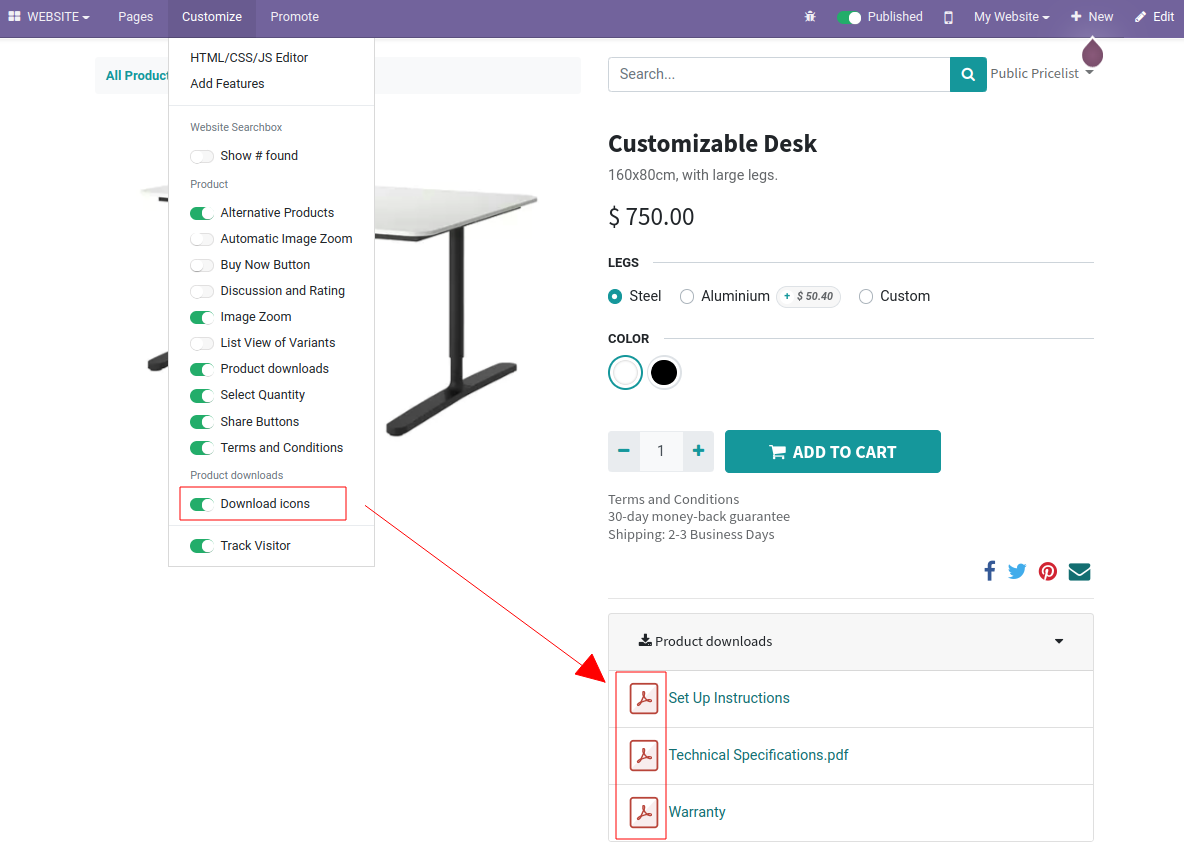 Toggle icons in frontend