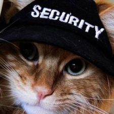 Avatar for btorresgil from gravatar.com