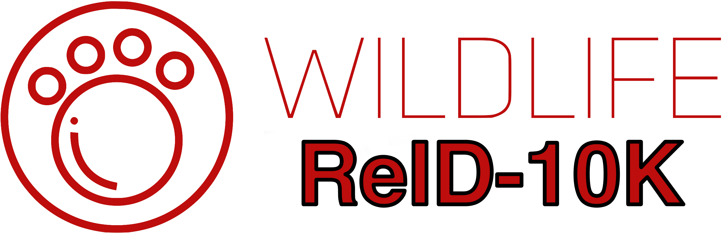 WildlifeReID-10k