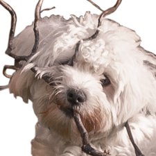 Avatar for Yelov from gravatar.com