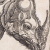 Avatar for alphagergedan from gravatar.com