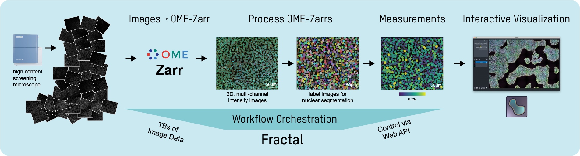 Fractal_Overview