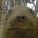 Avatar for neresson from gravatar.com