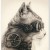Avatar for unresolver from gravatar.com