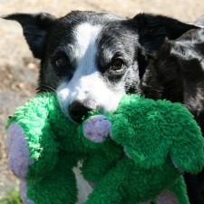 Avatar for Simon Kennedy from gravatar.com