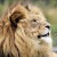 Avatar for Owusu-Ansah Solomon from gravatar.com