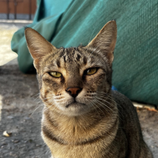 Avatar for Pushkar Patel from gravatar.com