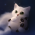 Avatar for stngularity from gravatar.com