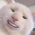 Avatar for hweichelt from gravatar.com