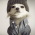 Avatar for fixmycode from gravatar.com