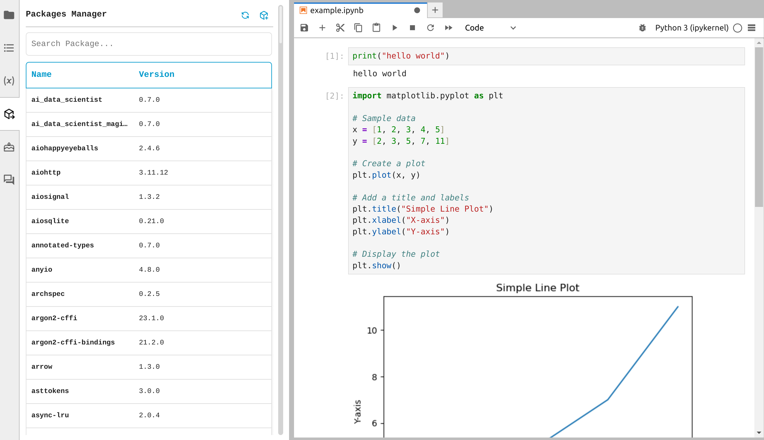Jupyter package manager pypi