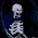 Avatar for NotSteve from gravatar.com