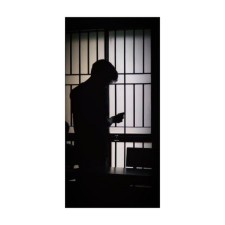 Avatar for MoeZilla from gravatar.com