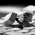 Avatar for hrtshu from gravatar.com