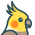 Avatar for raidgar98 from gravatar.com