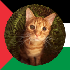 Avatar for Calculus from gravatar.com