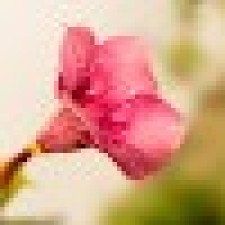 Avatar for Prerak Khandelwal from gravatar.com