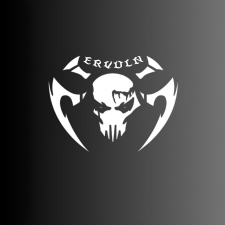 Avatar for ERVULN from gravatar.com
